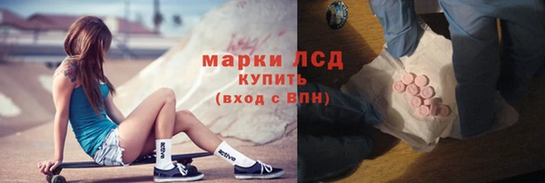 дживик Бородино
