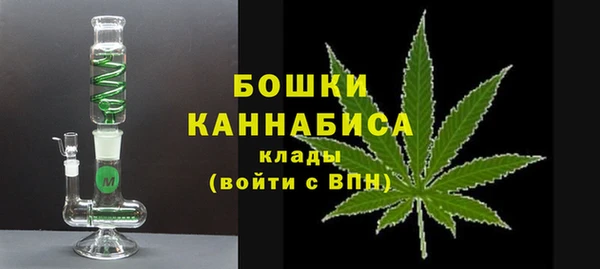 дживик Бородино
