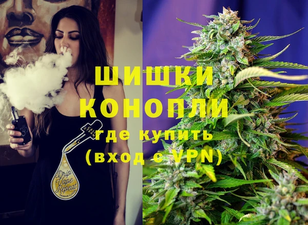 дживик Бородино