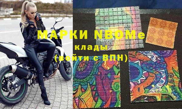 дживик Бородино