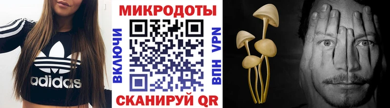 Галлюциногенные грибы мухоморы  Верхняя Пышма 